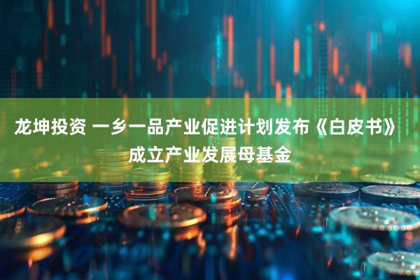 龙坤投资 一乡一品产业促进计划发布《白皮书》 成立产业发展母基金