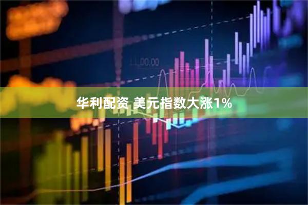 华利配资 美元指数大涨1%