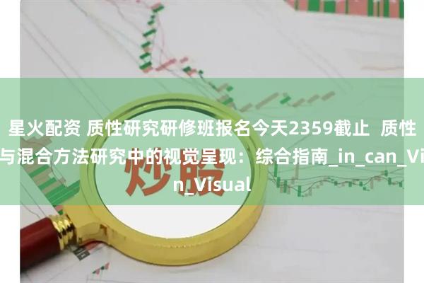 星火配资 质性研究研修班报名今天2359截止  质性研究与混合方法研究中的视觉呈现：综合指南_in_can_Visual